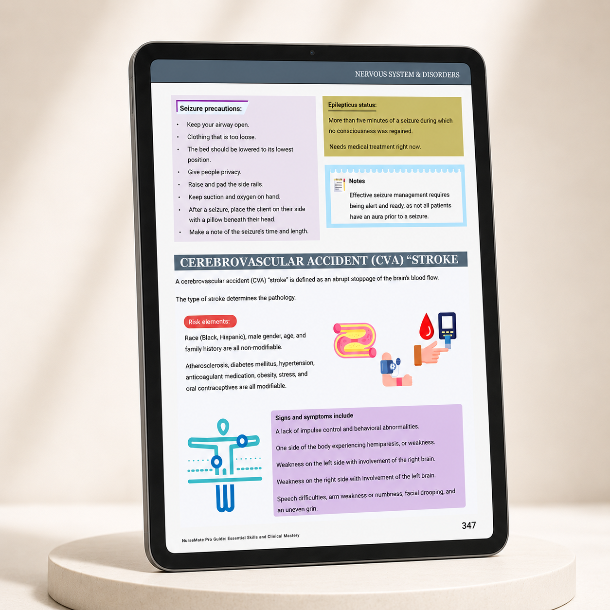 Nervous system — seizure precautions & stroke (CVA) overview